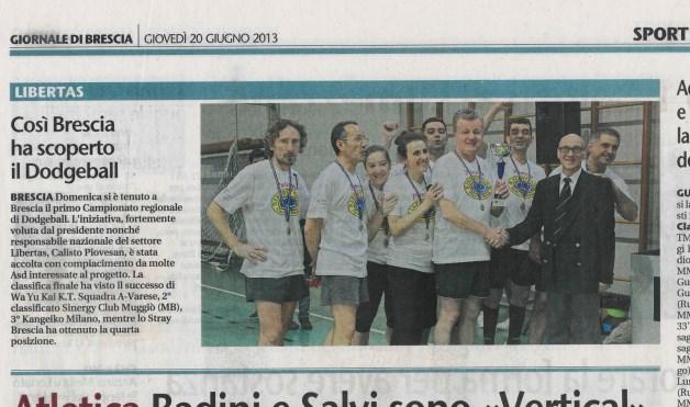 Giornale Bs 2013